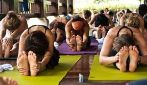 szp 8322 300x174 - Summer Renewal Yoga Retreat Yoga